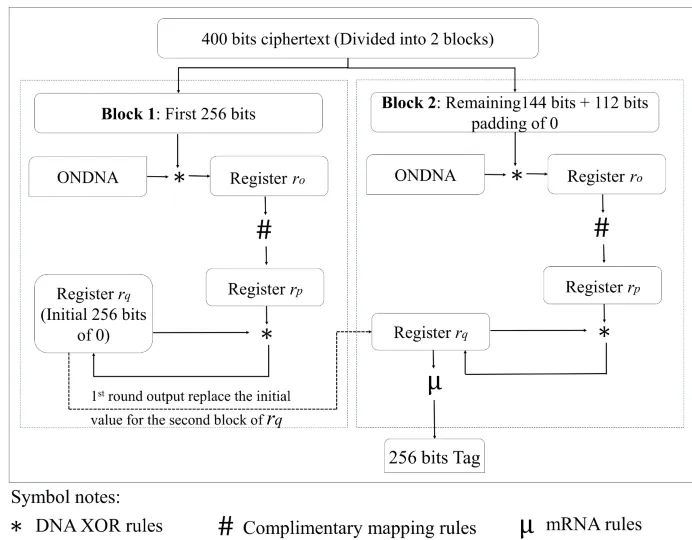 odna-key
