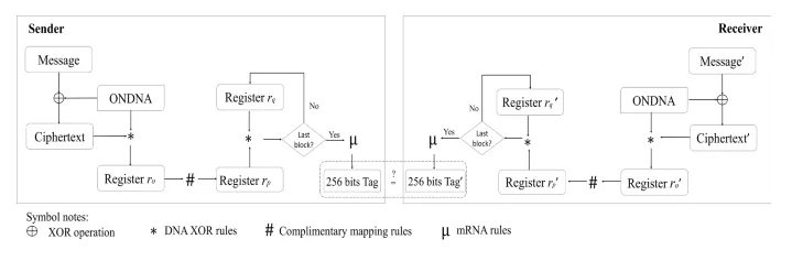 odna-key-2